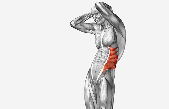 Oblique exercises for oblique muscles