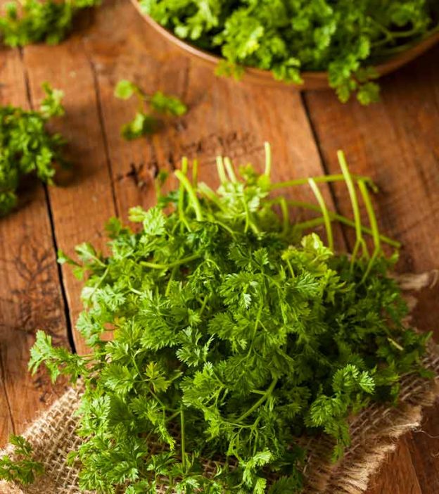 9 Health Benefits Of Chervil You Need To Know About