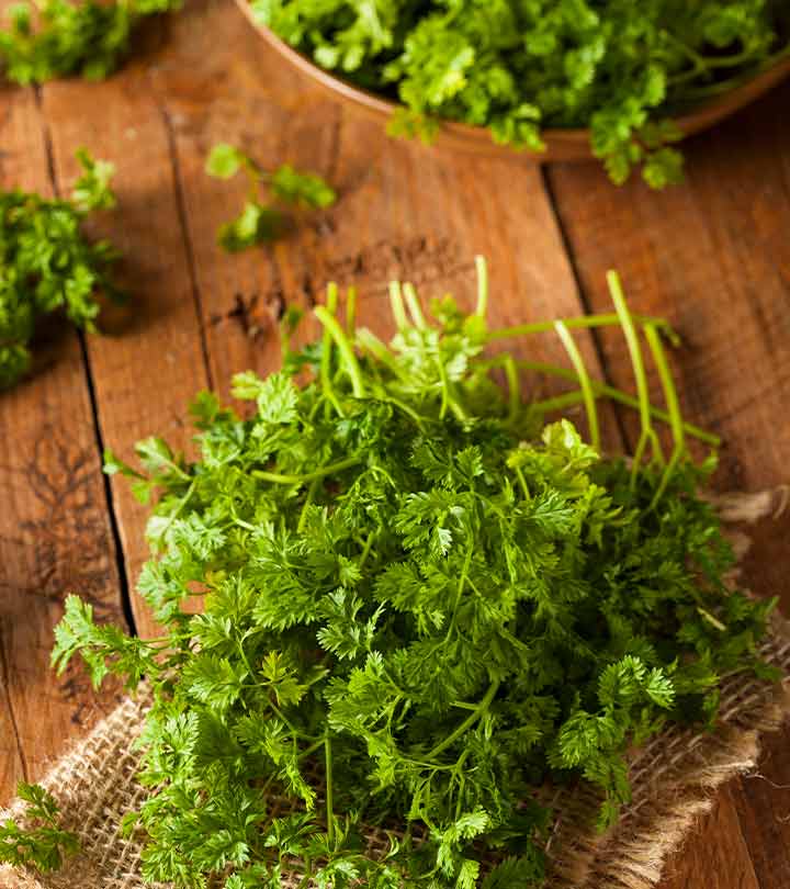 What Is Chervil? Health Benefits, Side Effects, And More